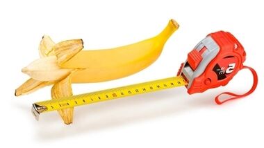 The normal size of the penis is 13-17 cm