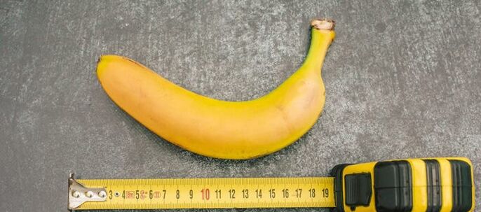 penis measurement with bananas as an example